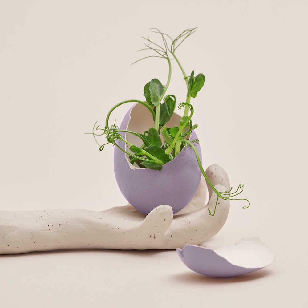 Les 5 étapes du&nbsp;deuil